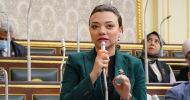 مى كرم نائبة التنسيقية: جرائم "غسل الأموال" تستهدف ضرب اقتصاديات الدول