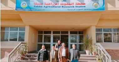 10 معلومات لا تعرفها عن محطة سخا منارة العلم والعلماء بكفر الشيخ