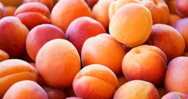 في موسم المشمش.. 5 طرق لاستخدامه في الأكل من الفراخ للمحشي الحلو