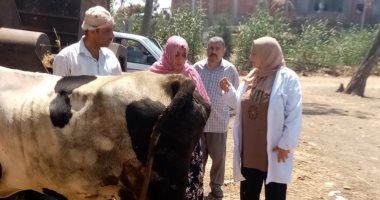 قوافل بيطرية بقرى كفر الشيخ للحفاظ على الثروة الحيوانية والداجنة.. صور