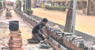 صور.. رصف الشوارع وتطهير الترع بمدن كفر الشيخ وقرى حياة كريمة