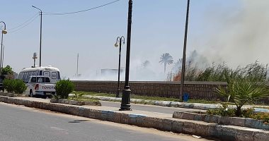 السيطرة على حريق بزراعات قريبة من السكة الحديد بدراو بأسوان دون تعطيل للحركة