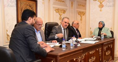 "شكاوى النواب" توافق على إنشاء مراكز شباب.. وتؤجل اقتراحا بتركيب كابلات بمطروح
