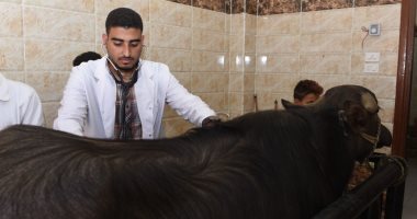  رئيس جامعة سوهاج يتفقد فعاليات القافلة البيطرية المجانية لقرية الصوامعة