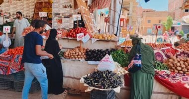 شعبة الخضار: المعروض الكبير يساهم فى ضبط الأسعار بالأسواق