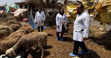 قافلتان شاملتان بالدلنجات ورشيد بمحافظة البحيرة تحت شعار "الخلفة مسئولية"