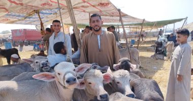 العجول البتلو عمر 10 أيام بـ5000 جنيه فى أكبر سوق بالشرقية.. لايف