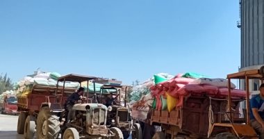 توريد 193 ألفا و92 طن قمح لصوامع  كفر الشيخ خلال 24 ساعة