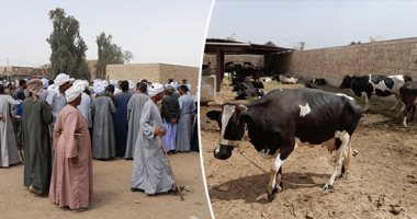 "حسرة ورسائل ندم لا تتوقف" دموع ضحايا المستريحين فى أسوان تتواصل بعد ضياع شقى عمرهم.. الأهالى: بعنا دهب الستات واقترضنا من البنوك للدخول فى هذه التجارة.. وذكاء النصابين استدرج الكثير من الضحايا