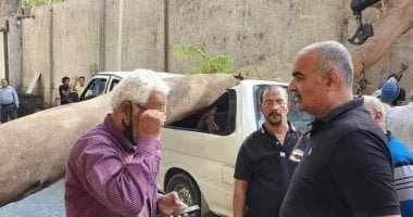 سائق الميكروباص"اللى وقع قلوب الملايين": مصدر رزقى الوحيد.. فيديو 