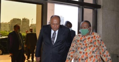 سامح شكرى يستقبل وزيرة خارجية جنوب أفريقيا.. ومؤتمر صحفى بعد قليل