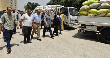 محافظ أسيوط: 121 ألف طن كمية القمح المحلى الموردة حتى الآن بالشون والصوامع