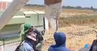 "ربك يبارك".. شاهد تفريغ القمح آليا بعد الحصاد فى كفر الشيخ".. بث مباشر