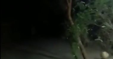 تفاصيل واقعة مقتل 5 أفراد من أسرة واحدة بينهم 4 أطفال بالجيزة.. فيديو