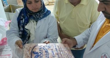 ضبط 2 طن و450 كجم لحوم ودجاج غير صالحة للاستخدام بحملات تفتيشية بالشرقية