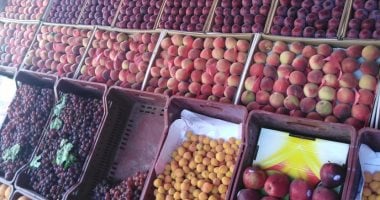 فاكهة الصيف فى دمياط على كل شكل ولون.. الخوخ بـ5 جنيهات والمشمش بـ8 والعنب بـ 25 جنيها