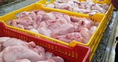 ضبط 5 أطنان و657 كيلو دواجن مخالفة بمجزر يدوى غير مرخص بالعاشر من رمضان