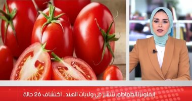 أنفلونزا الطماطم خطر جديد يهدد العالم بعد انتشارها فى الهند.. فيديو