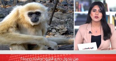 هل يتحول جدري القرود لجائحة جديدة؟.. الصحة العالمية ترد