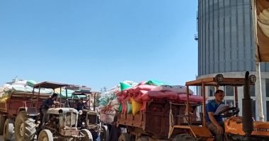 محافظ كفر الشيخ: توريد 207 آلاف و622 طن قمح بـ23 منفذا