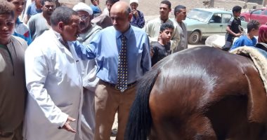 انطلاق قوافل بيطرية تنموية علاجية وإرشادية لصغار المربين بقرى حياة كريمة بقنا
