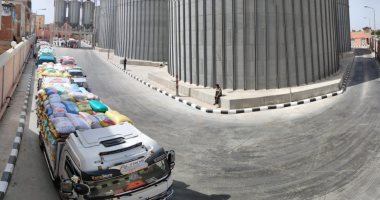 صوامع الغلال منظومة عمل لا تتوقف.. استلام 167 ألف طن قمح بنسبة 73% من المستهدف ببنى سويف.. حصاد 47100 فدان وتوريد 128 ألف طن بالقليوبية.. أسيوط تستلم 131 ألف طن.. ودمياط تتسلم 40 ألف طن من المحصول.. صور