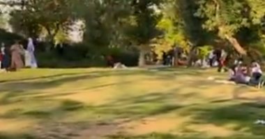 ضحك ولعب وملاهى ونافورة.. تعالى هنفسحك وأنت فى البيت.. جولة بالجولف كار.. فيديو