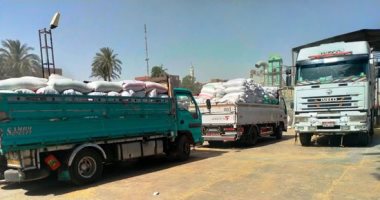 تموين الأقصر: توريد 18460 طنا و808 كيلو قمح للشون والصوامع.. فيديو وصور