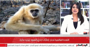 إصابات جدرى القرود مجرد بداية.. الصحة العالمية تحذر من خطر قادم "فيديو"