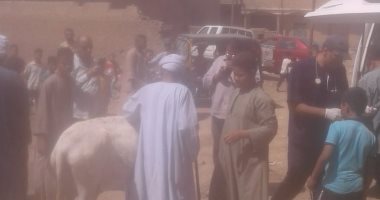 انطلاق قافلة بيطرية بقرية المراشدة فى قنا
