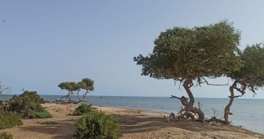 بها مصب مياه شهير.. "أدلديت" أجمل المناطق الطبيعة جنوب الشلاتين "صور"