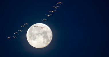 القمر الجديد يحمل مفاجآت للأبراج.. الجوزاء والجدي والميزان الأكثر تأثرًا