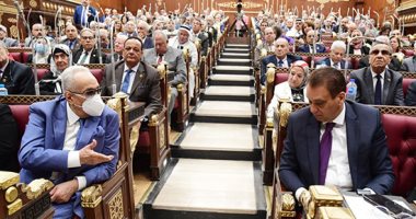 لجنة التضامن بمجلس الشيوخ توصى بإنشاء مكتب تأمينات بمركز الضبعة