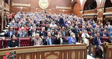 مجلس الشيوخ يوافق مبدئيا على تعديل قانون صندوق ذوى الإعاقة