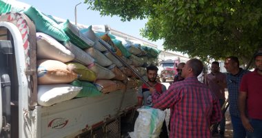 الذهب الأصفر يواصل تدفقه على الشون والصوامع.. توريد 327 ألف طن قمح بأسيوط وبورسعيد وبنى سويف.. الشرقية تتسلم 588 ألف طن من المزارعين.. تسليم 18460 طنا بالأقصر.. و135 ألف طن مطابقة للمواصفات حتى الآن بالفيوم