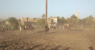يقام منذ الأربعينات.. شاهد الخيالة فى مرماح مولد الحاج على بقنا.. بث مباشر
