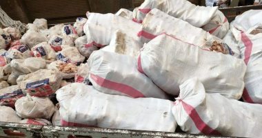 ضبط 11.5 طن دواجن غير صالحة للاستخدام الآدمى فى بولاق الدكرور بالجيزة.. فيديو