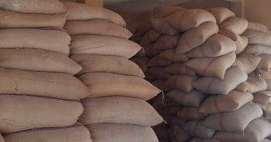 محافظ بنى سويف: استلام أكثر من 186 ألف طن من الأقماح بالصوامع والشون