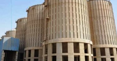 استمرار عمليات توريد القمح بسوهاج.. وضبط 60 أردبا بحوزة تاجر فى طهطا