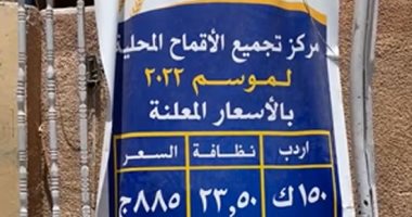 مزارعو الأقصر يواصلون توريد أطنان القمح للشون والصوامع.. فيديو