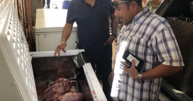 ضبط 800 كجم لحوم مجهولة المصدر بمحال فى حى الدقى