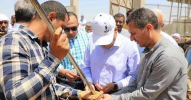 محافظ المنيا: توريد 414 ألف طن قمح بالشون والصوامع الحكومية