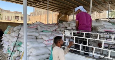 ضبط 970 كيلو قمح محلى داخل محل لبيع الأعلاف بحملة تموينية فى الشرقية