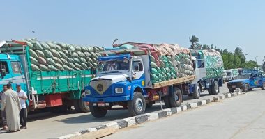 استلام 190 ألف طن قمح محلى بصوامع بنى سويف بنسبة تزيد عن 82%   