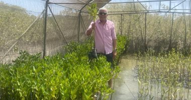 نقيب الزراعيين: عرض مشروع غابات المانجروف بالبحر الأحمر على قمة المناخ