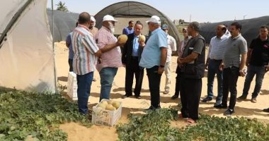 محافظ الوادى الجديد يتفقد مشروع الصوب الزراعية بمنطقة المعلمين بالخارجة