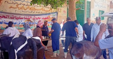 قوافل بيطرية مجانية لقرى الأقصر