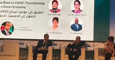 وزير الخارجية: مصر تكافح لإنجاح مؤتمر cop27 فى ظل التغيرات الاقتصادية والبيئية العالمية