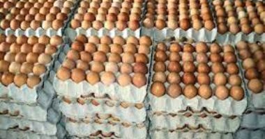 المتحدث باسم وزارة الزراعة يكشف تفاصيل توفير البيض بمنافذ الوزارة وأسعاره.. فيديو