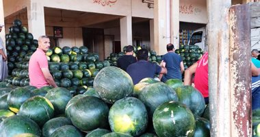 الجيزة الأجود والسكاتا الياباني الثاني ومصر 1 ونفرتيتي والبعلى.. تعرف على سوق البطيخ..فيديو
